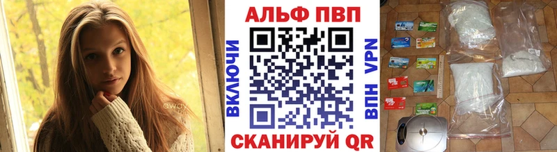 А ПВП СК КРИС  KRAKEN как войти  Западная Двина 