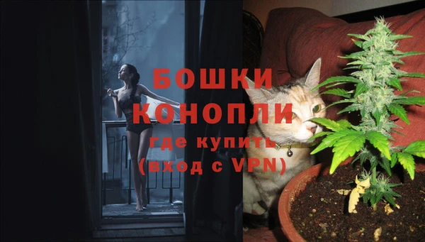 герыч Дмитриев