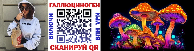 Псилоцибиновые грибы Cubensis  Западная Двина 