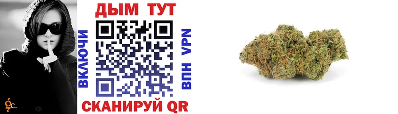 Канабис SATIVA & INDICA  Западная Двина 